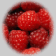 images/to2.GIF